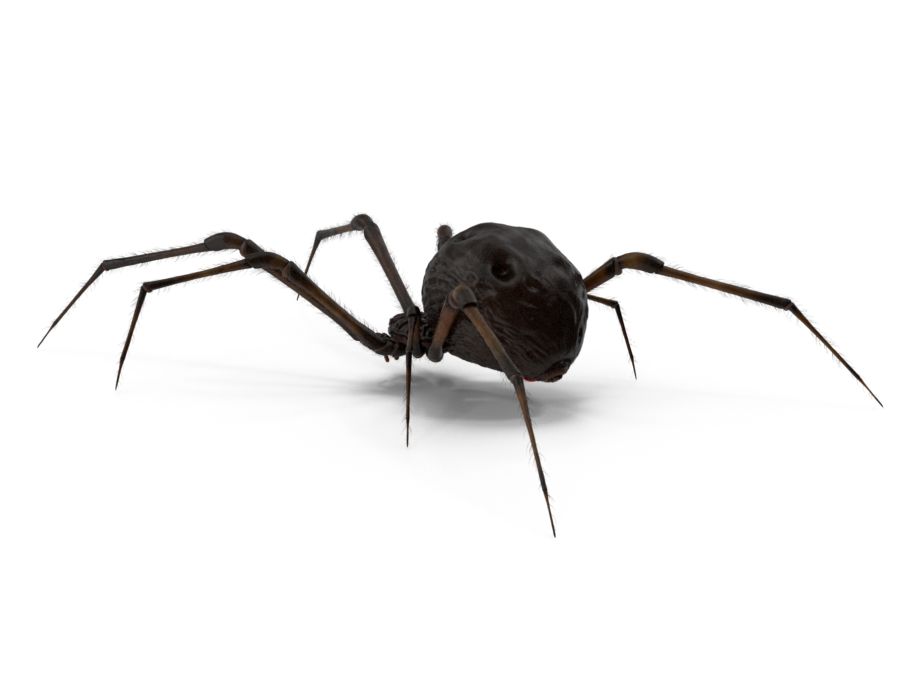 pest control