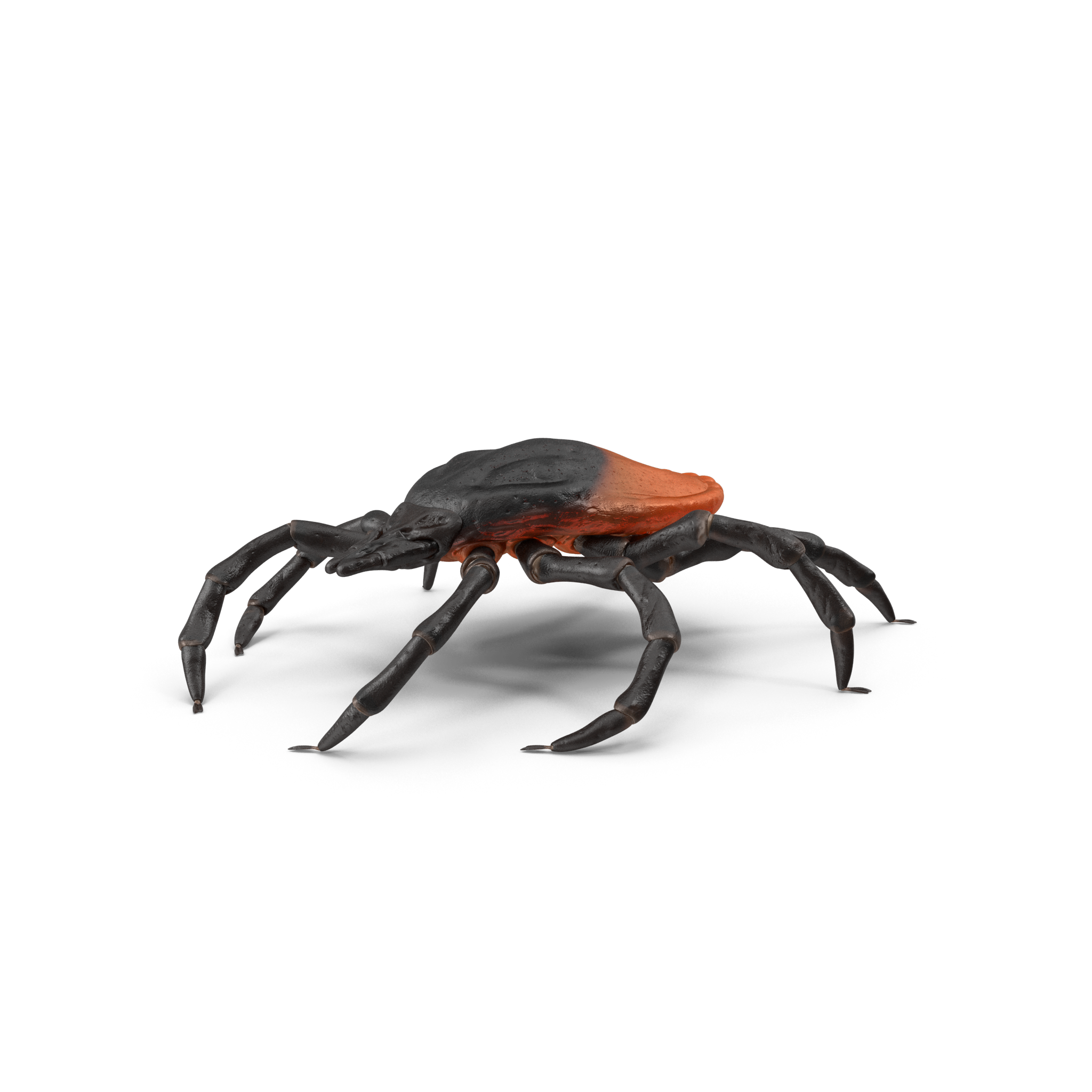pest control