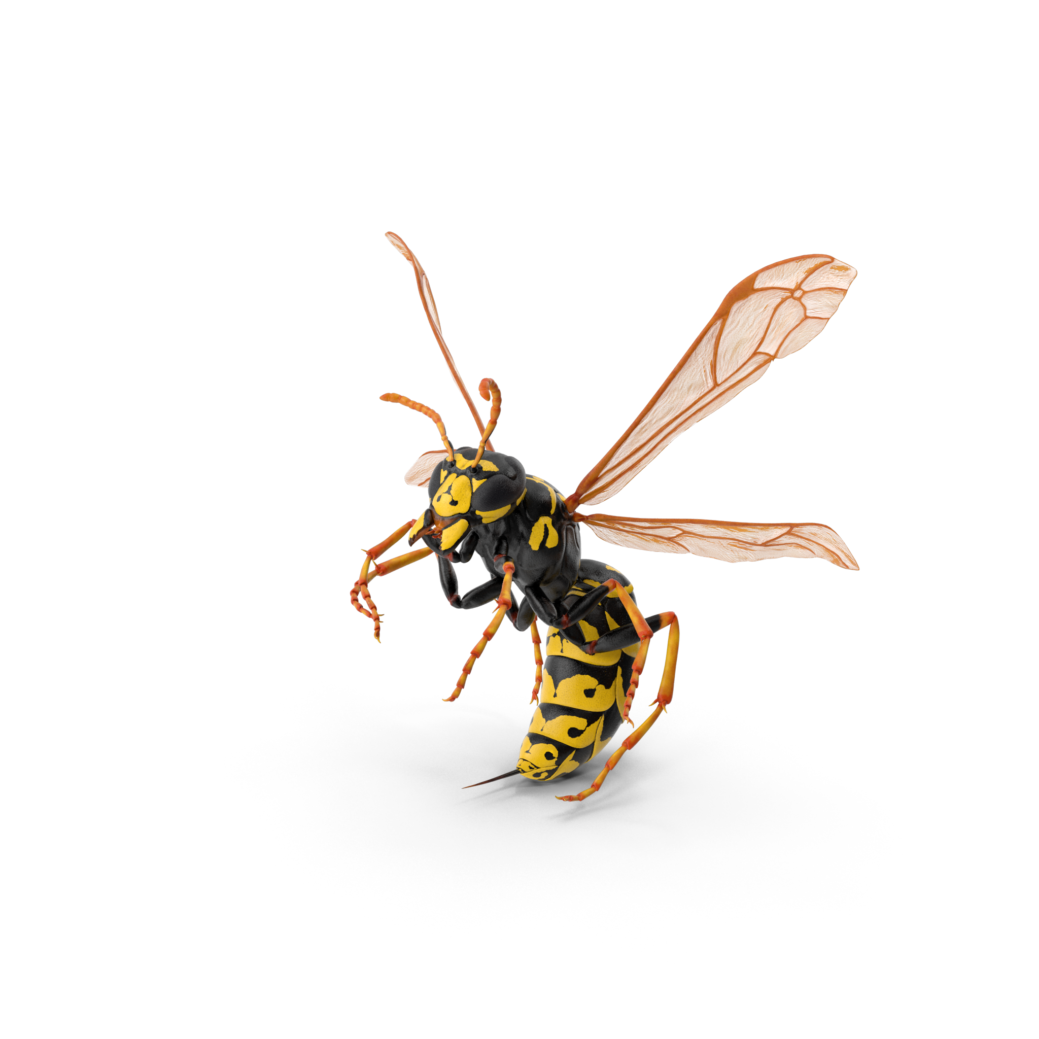 pest control